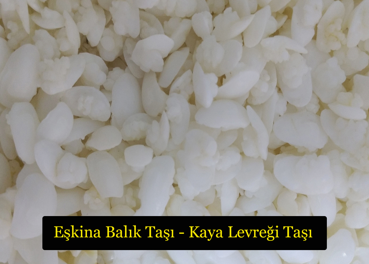 eşkina balığı taşı.jpg