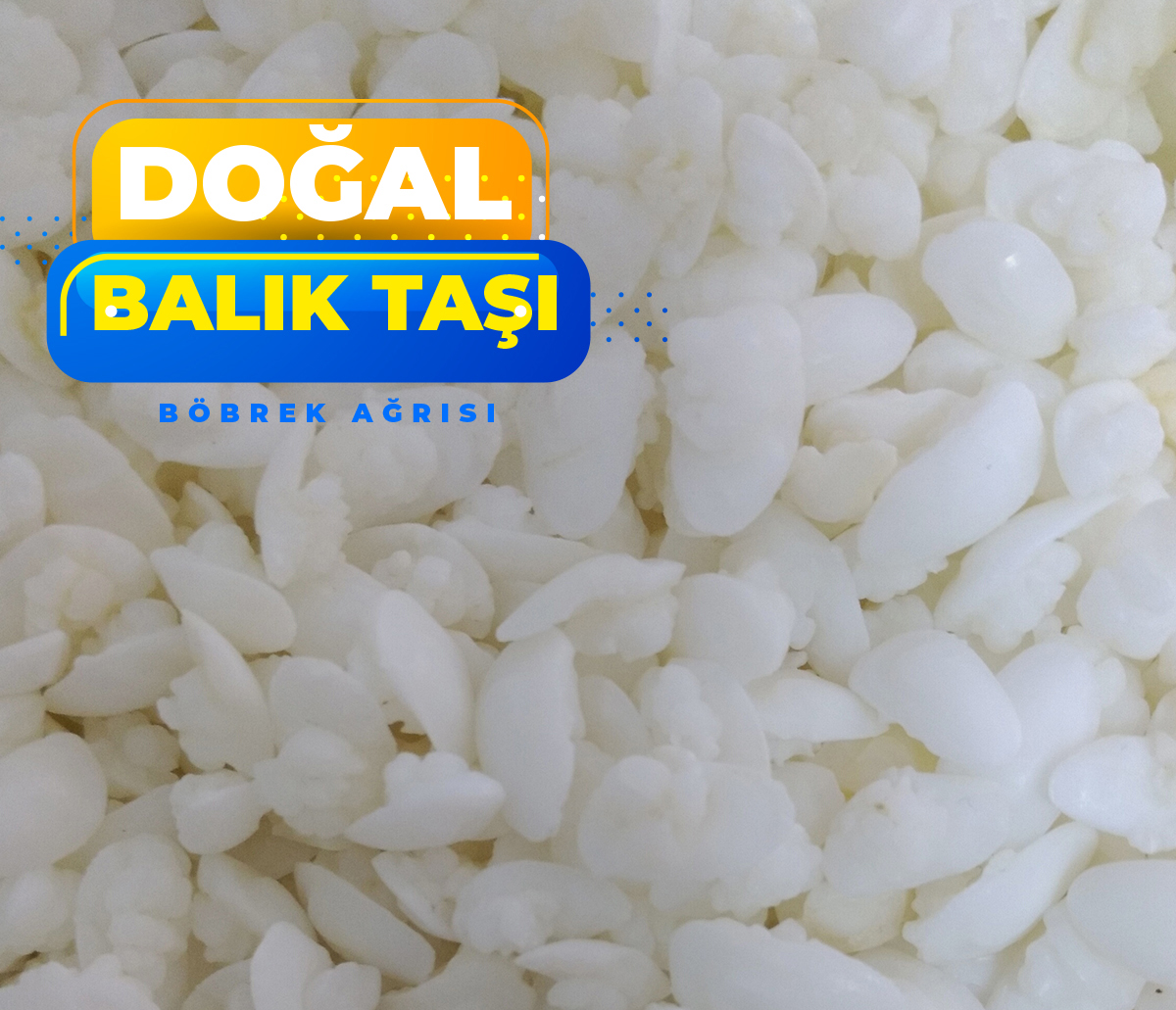 eşkina balık taşı.jpg