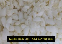 eşkina balığı taşı.jpg